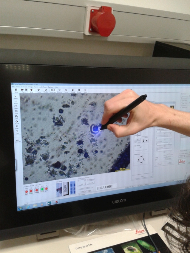 Fotoreportáž z kurzu Single Cell Gene Expression Analysis v Heidelbergu.